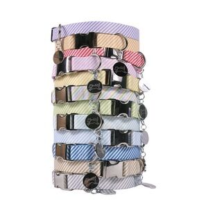 Preppy to the max for your 4-legged beauty